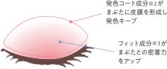 発色コート成分※2が瞼に被膜を形成し発色キープ フィット成分※3がまぶたの密着力をアップ