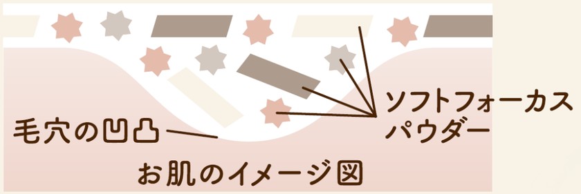 お肌のイメージ図:毛穴の凹凸にソフトフォーカスパウダーがフィット