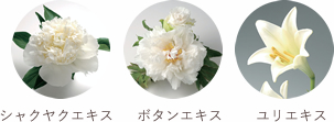 芍薬(シャクヤク)、牡丹(ボタン)、百合(ユリ)の写真