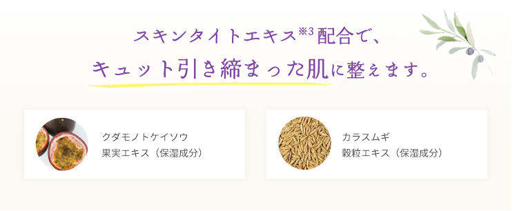 スキンタイトエキス※3配合で、キュット引き締まった肌に整えます。クダモノトケイソウ 果実エキス(保湿成分)、カラスムギ 穀粒エキス(保湿成分)