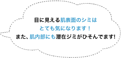 目に見える肌表面のシミはとても気になります！肌内部にも潜在ジミがひそんでます！