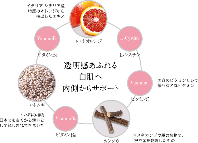 透明感あふれる白肌へ内側からサポートの図