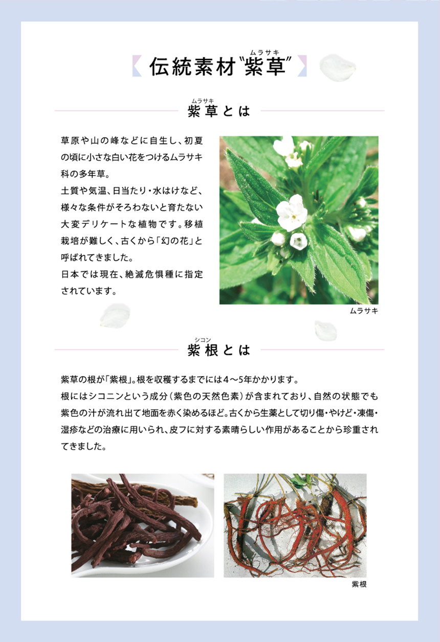 伝統素材　紫草