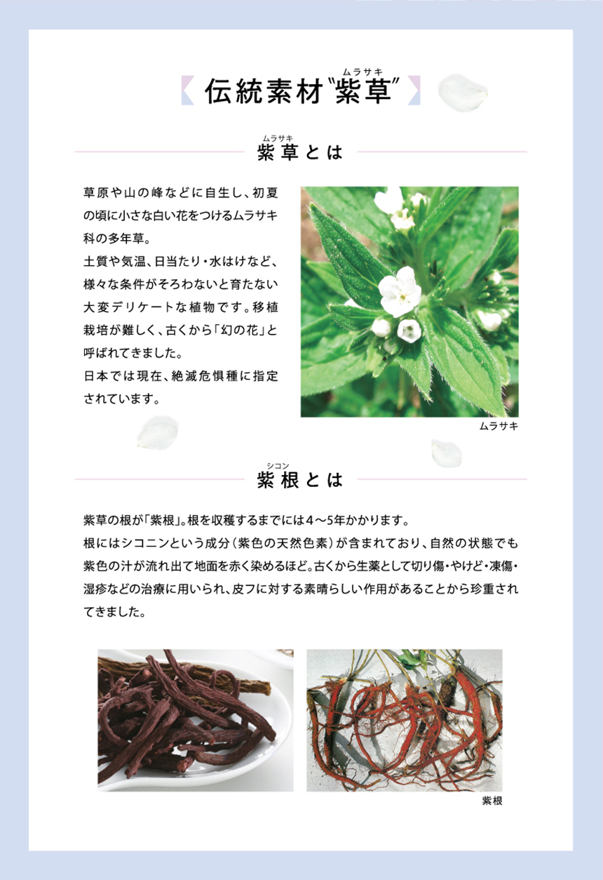 伝統素材　紫草