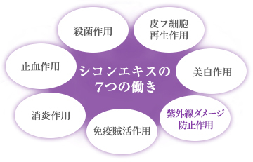 シコンエキスの6つの働き