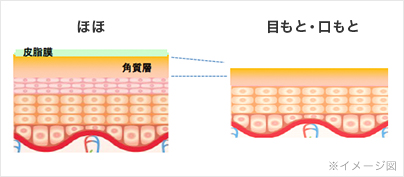 ※イメージ図