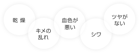 乾燥・キメの乱れ・血色が悪い・シワ・ツヤがない