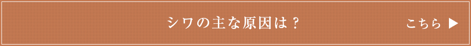 シワの主な原因は？