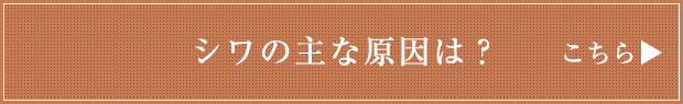 シワの主な原因は？