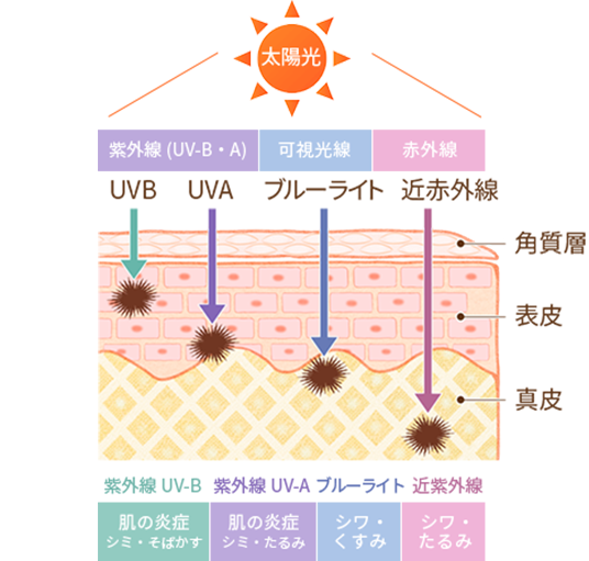 すっぴん ホワイトニングパウダー クリーム クラブコスメチックス